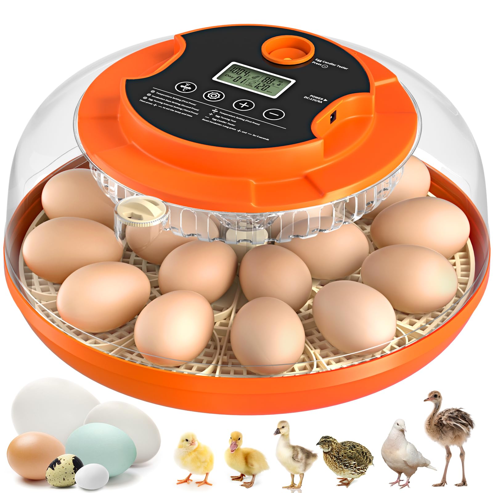 Automatic Egg Turning and Humidity Control, Incubators for Hatching Egg