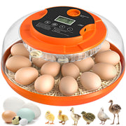 Automatic Egg Turning and Humidity Control, Incubators for Hatching Egg
