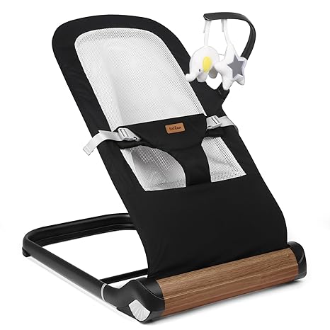 Baby Bouncer Chair - Comfortable Support for Your Little One's Blissful Moments (Normal