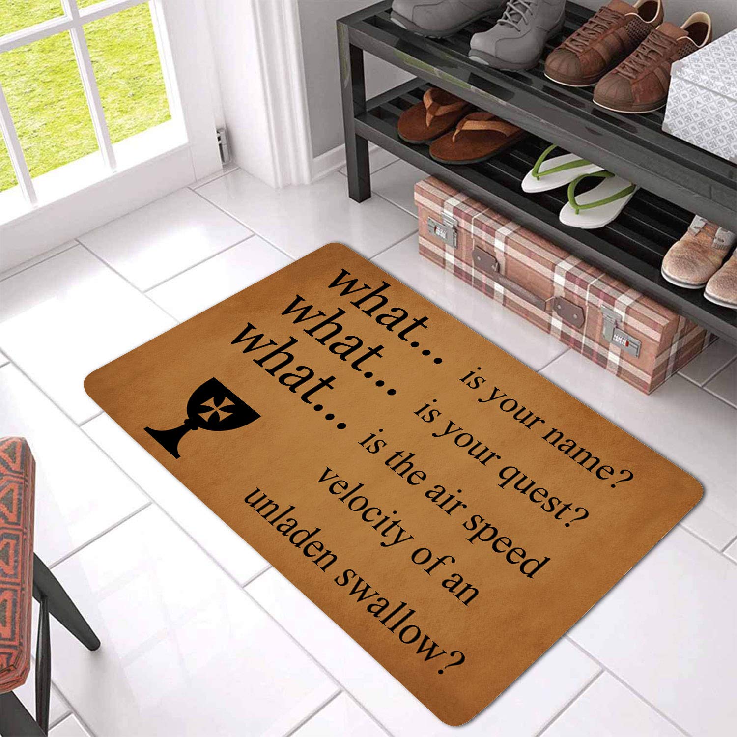 Monty, Python and The Holy, Grail Floor Rug Indoor/Front Door Mats Home Decor