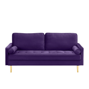 67" Modern Velvet Loveseat Sofa Couch, living room