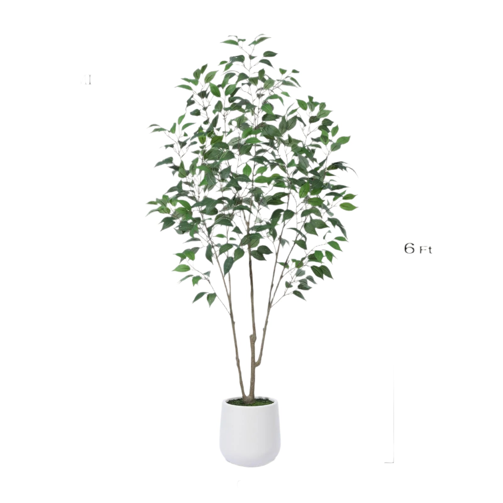 Artificial Ficus Tree,6FT Fake Tree in White Imitation Ceramic Planter with Lifelike Moss