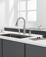 3 Hole Kitchen Faucet with Pull Down Sprayer, Brushed Nickel, Double Handle High