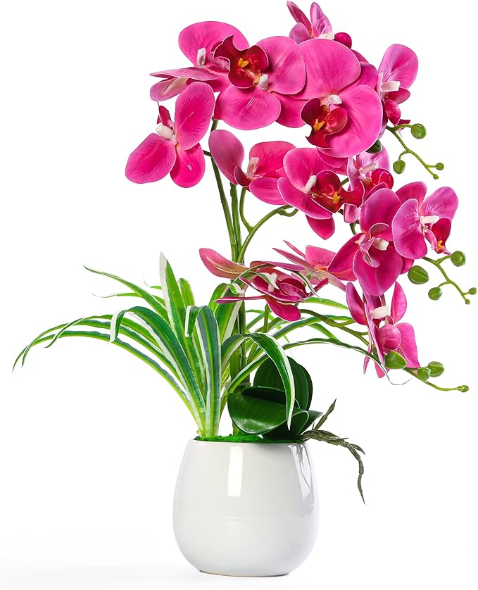 Artificial Orchid Plants and Flowers with Vase, Fake Faux Orchid in Ceramic Pot,17”, Fuchsia