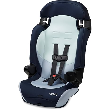 Finale DX 2-in-1 Booster Car Seat, Dusk