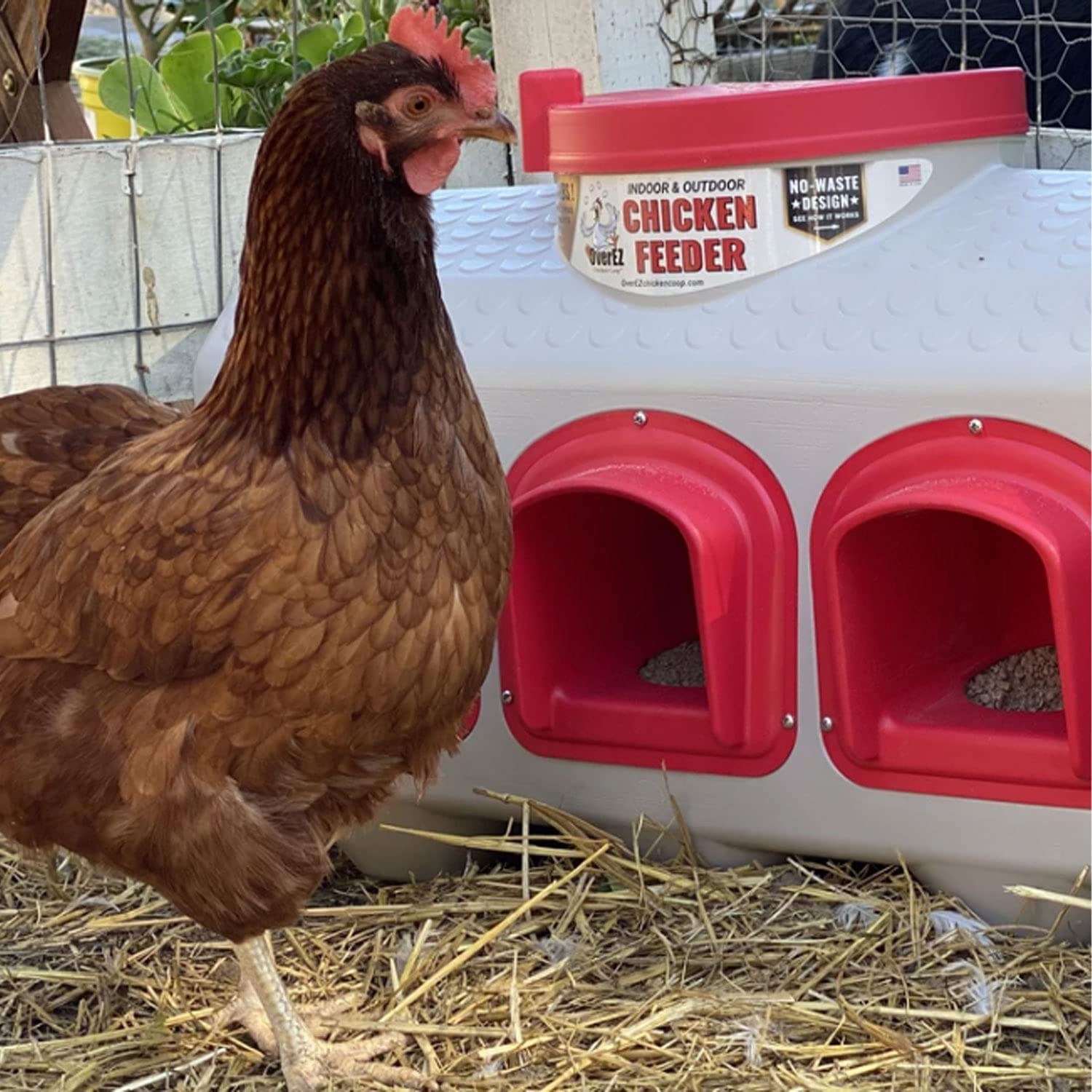 Feeder - Holds 50 Pounds of Feed - Inside or Outside Hen Coop