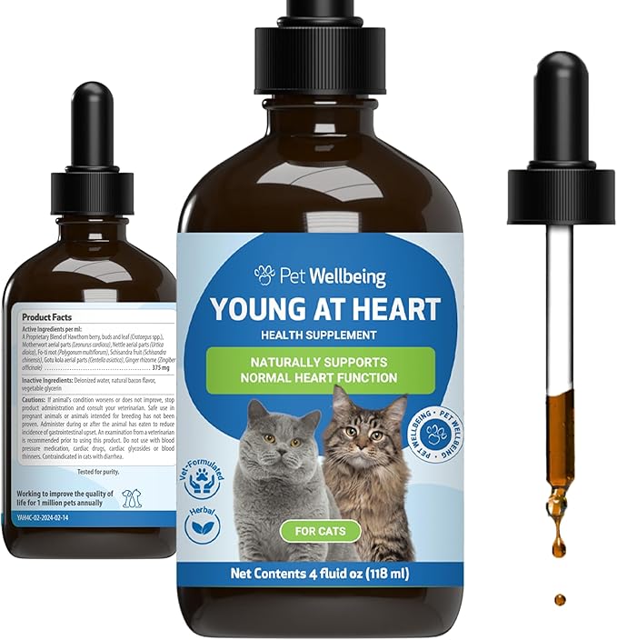 Heart for Cats - Heart Health, Circulatory & Cardiovascular System, Hawthorn