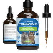 Heart for Cats - Heart Health, Circulatory & Cardiovascular System, Hawthorn