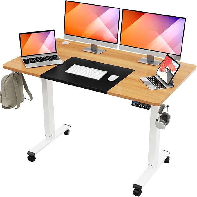 55x28 Inches Electric Height Adjustable Standing Desk, Sit Stand Desk with Memory
