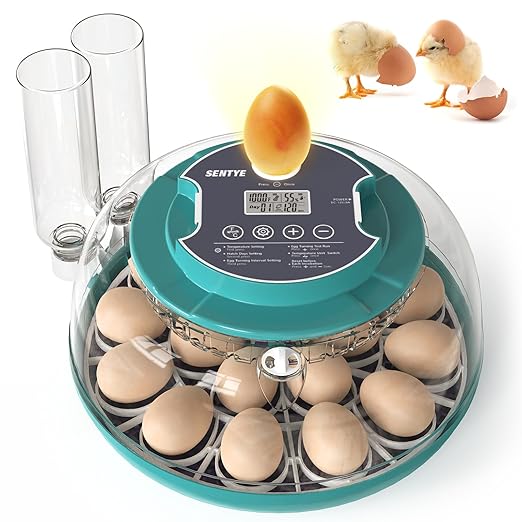 12 Egg Incubator with Automatic Egg Turning and Humidity Control, Egg Incubators