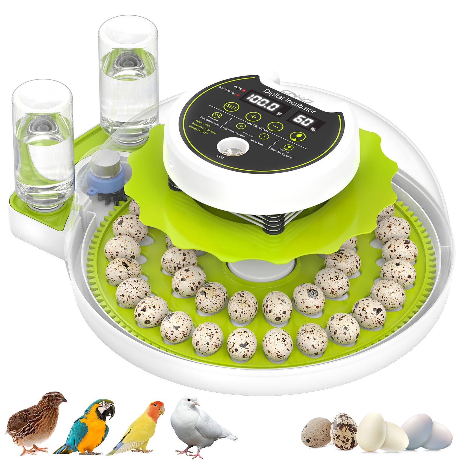 Hatching 40 Quail Eggs with Automatic Turner and Humidity Control