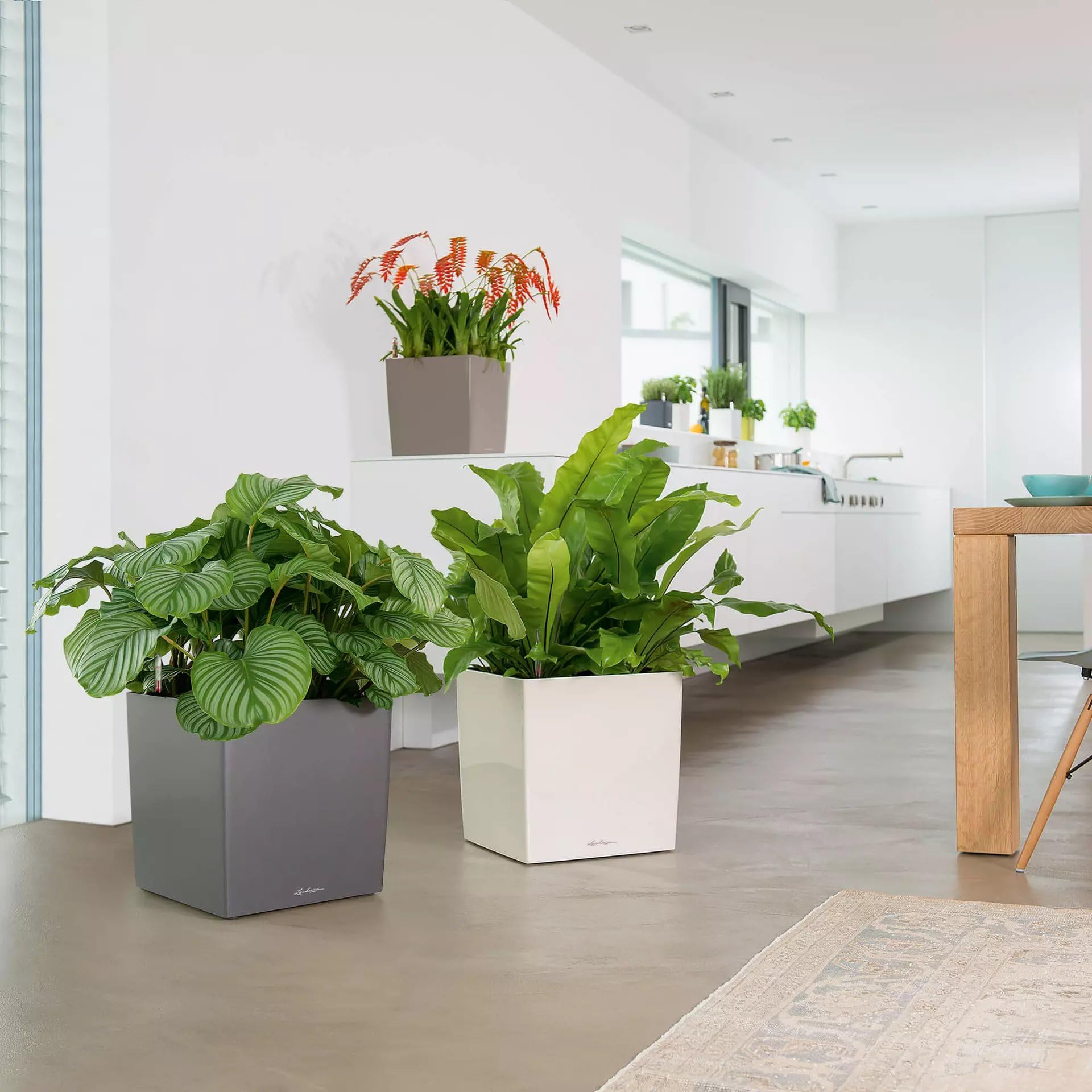 cube 40 Medium Flower Indoor/Outdoor Garden Floor Self-Watering Planter
