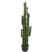 6.5ft. Cactus Artificial Plant