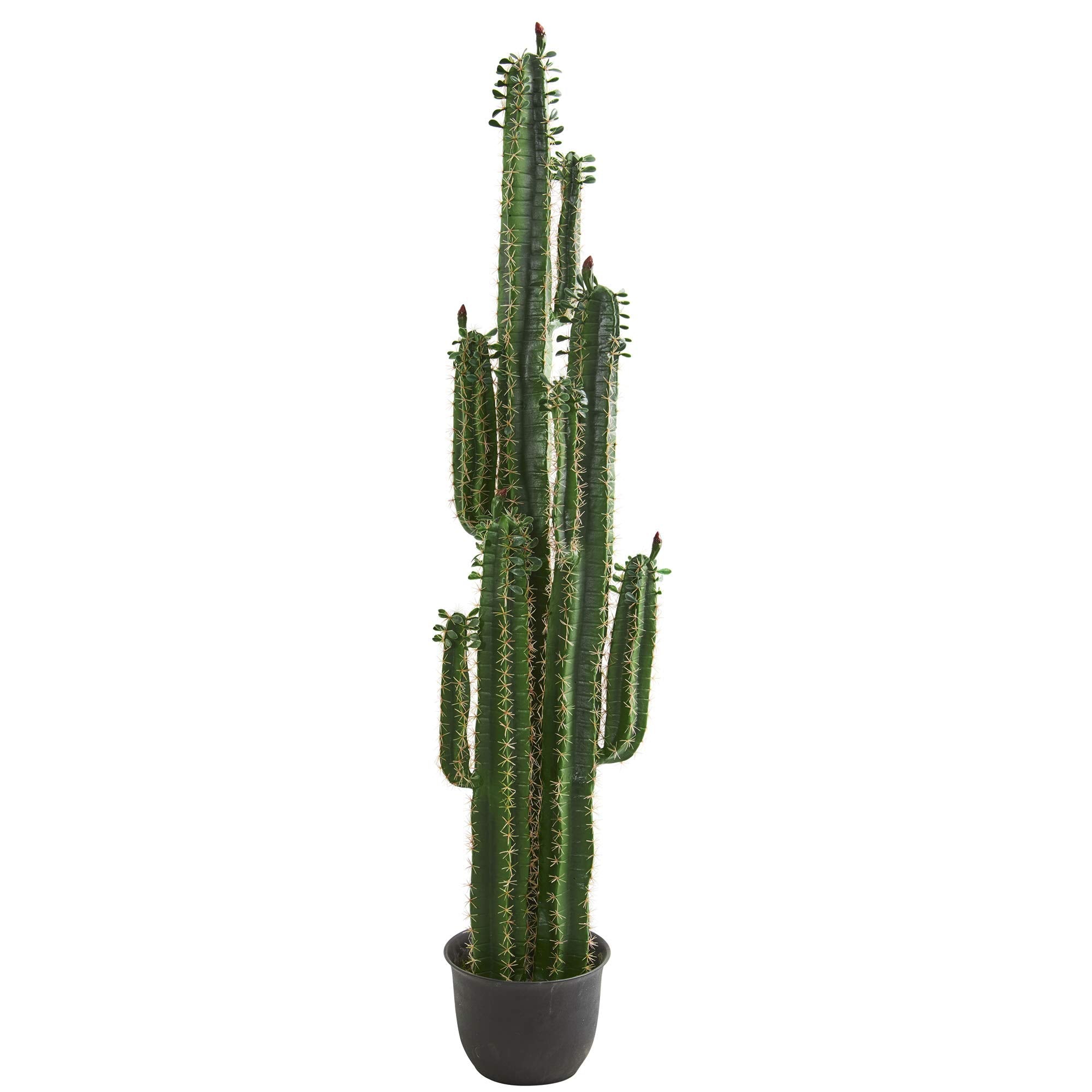 6.5ft. Cactus Artificial Plant