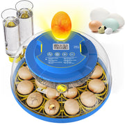Hatching Eggs, Chicken Egg Incubator with Automatic Egg Turning & Humidity