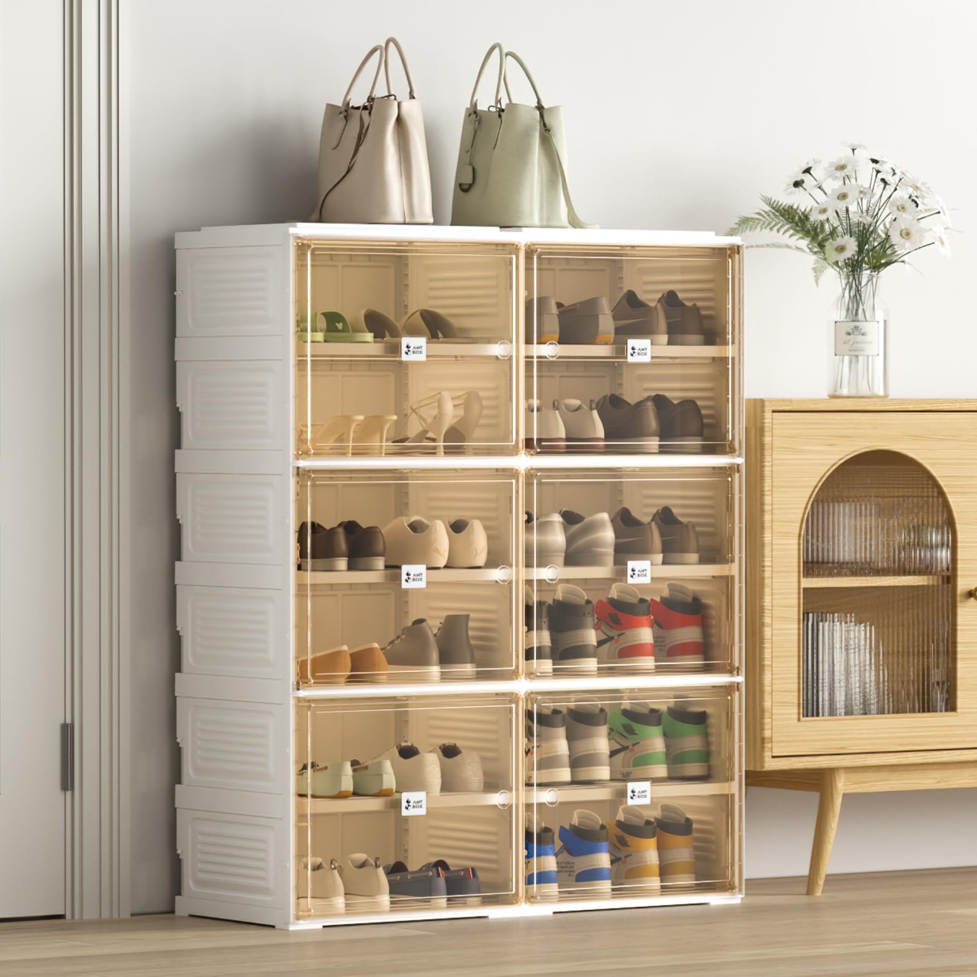 Portable Shoe Rack Organizer for Closet Entryway