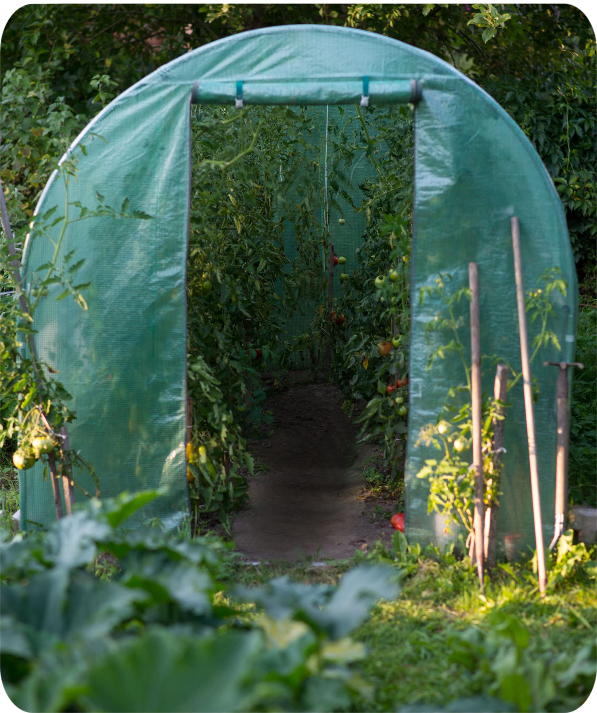 6m2 Garden Polytunnel Greenhouse - Coche Greenhouse for Plants - PE Film Garden Cover