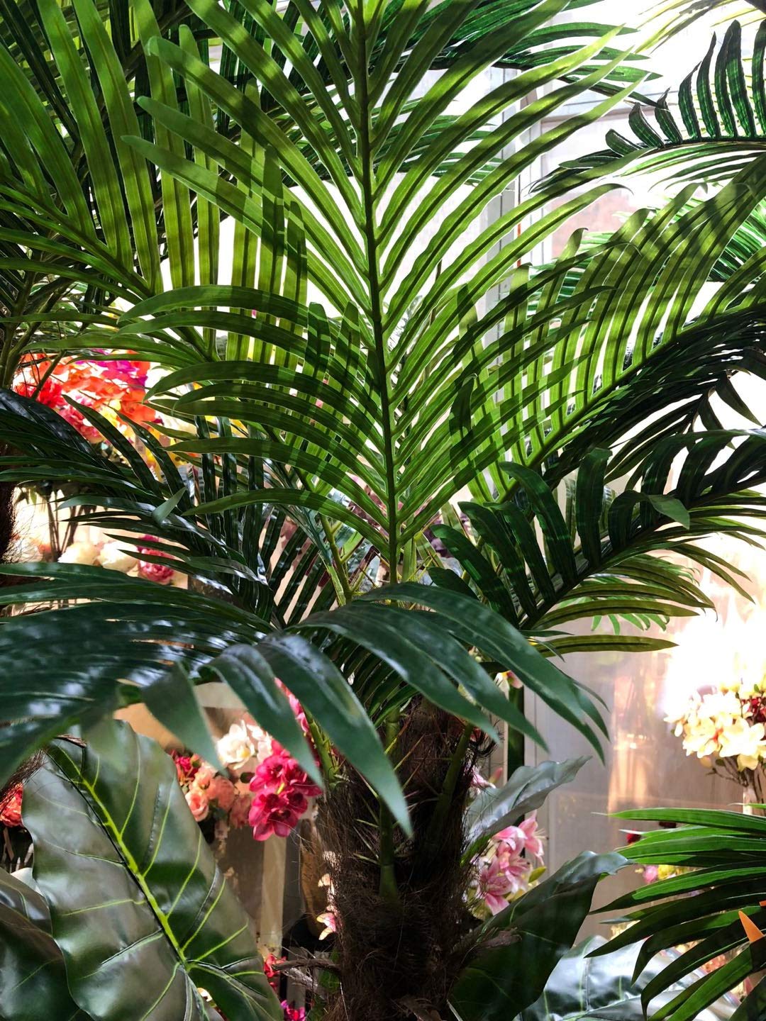 Gorgeous 6 Feet Cycas Revoluta Sago Palm Tree with Nursery Pot, Real Touch Technology