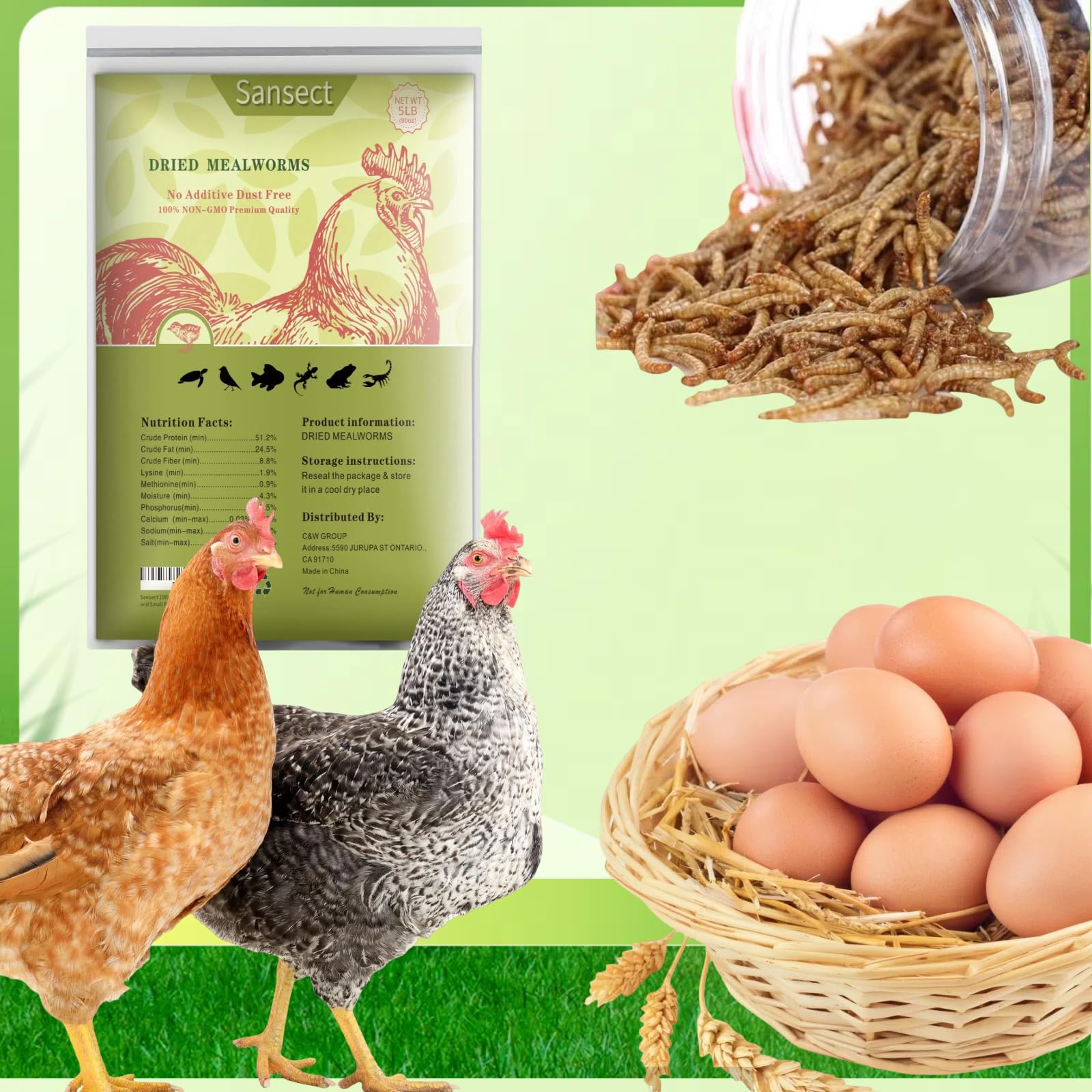 Dried Mealworms, 100% Natural, Non-GMO Mealworms for Chickens-High Protein