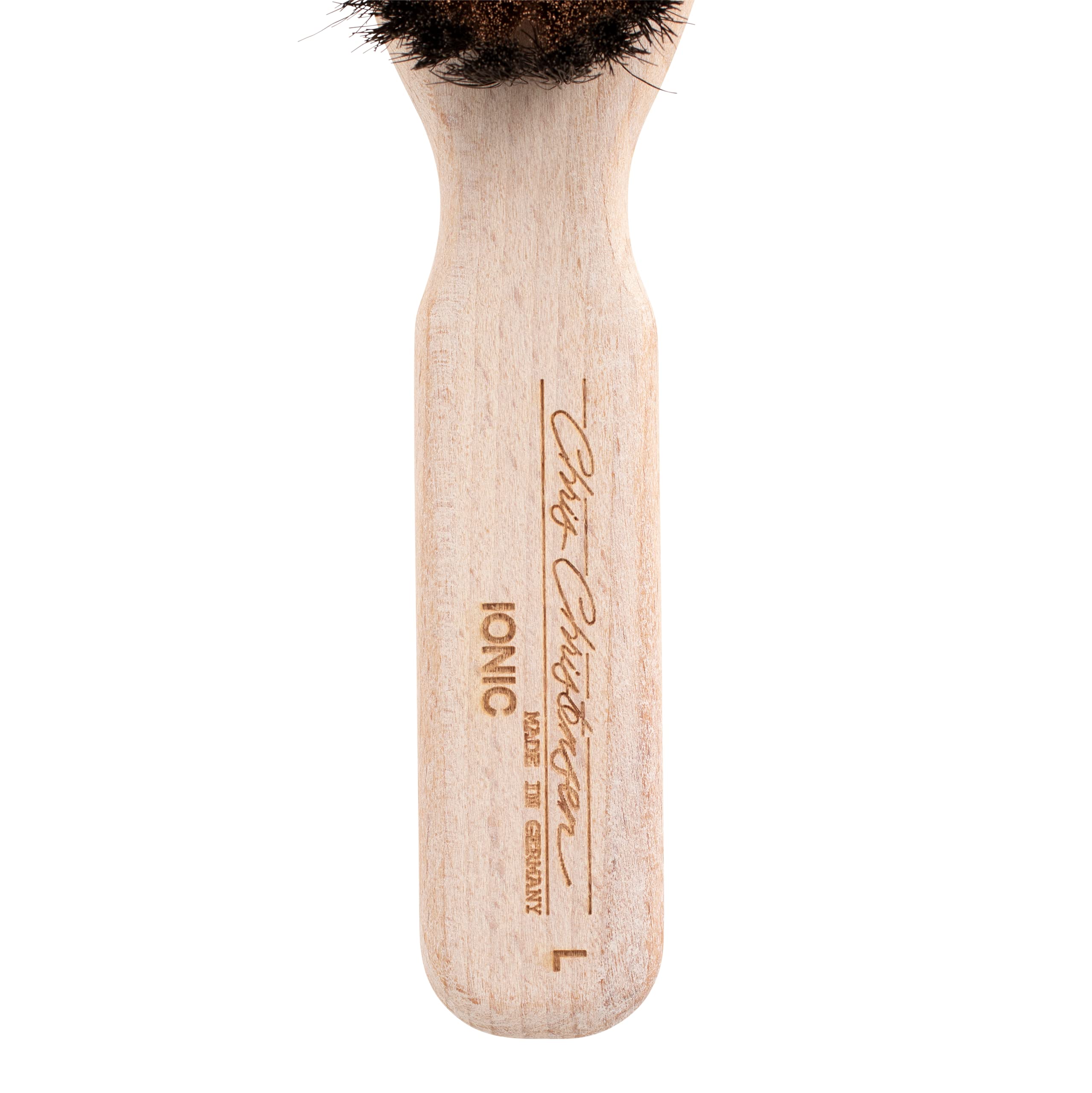 Boar Dog Brush, Groom Like a Professional, Ionic Series, Brass Bristles