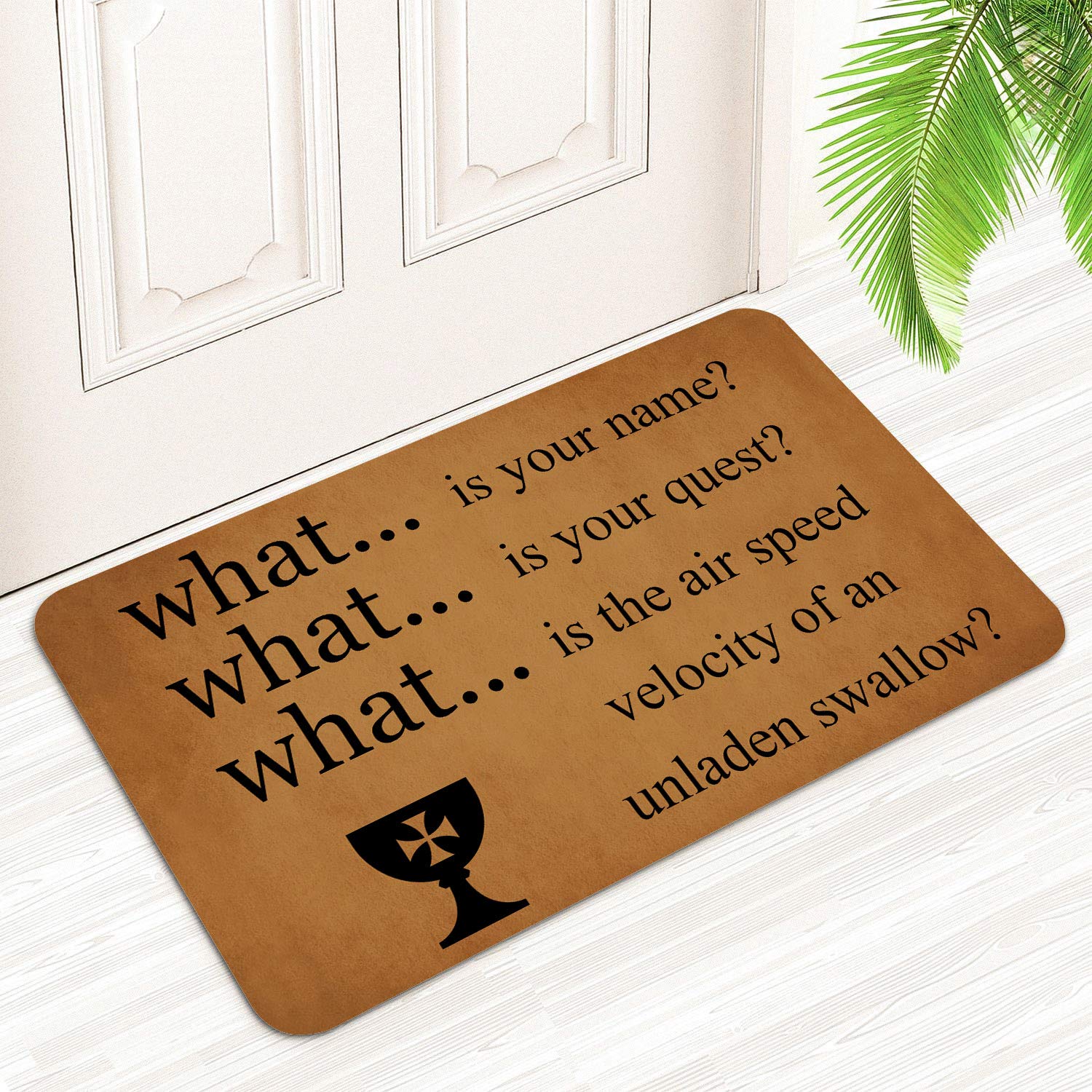 Monty, Python and The Holy, Grail Floor Rug Indoor/Front Door Mats Home Decor
