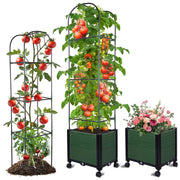 Raised Garden Bed with Tomato Planter Cage 63 inch Trellis Planter Boxes with Wheels