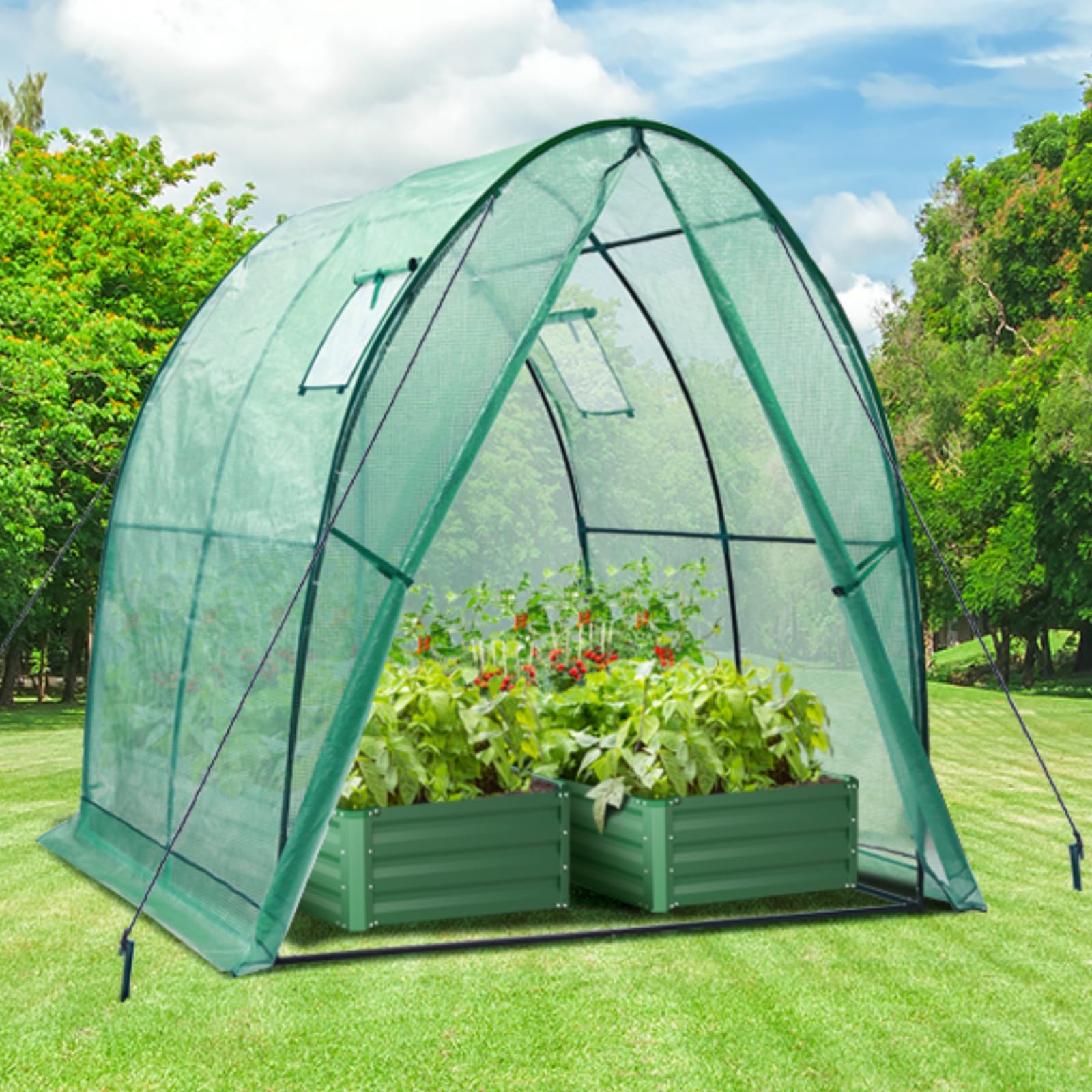 Portable Tunnel Greenhouse Outdoor: Heavy Duty Small Walk in Green House