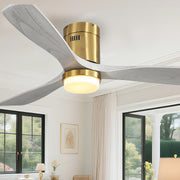 Fan with Lights 52 Inch Flush Mount Ceiling Fan with Remote Control