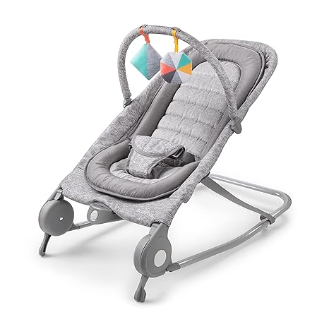 2-in-1 Bouncer & Rocker Duo (Gray and Teal) Convenient and Portable Rocker and Bouncer