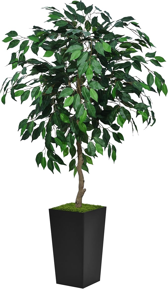 Artificial Ficus Tree 5FT - Faux Indoor Tree with White Tall Planter