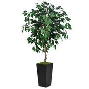 Artificial Ficus Tree 5FT - Faux Indoor Tree with Black Tall Planter - Fake Ficus Floor Plant