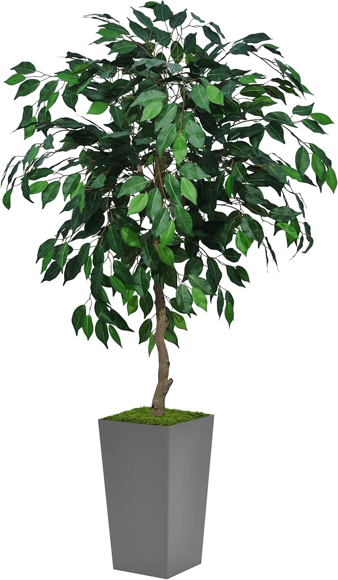 Artificial Ficus Tree 5FT - Faux Indoor Tree with White Tall Planter