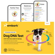 Breed Identification Kit - Most Accurate Dog DNA Testing Kit - 99% Breed Ancestry Accuracy