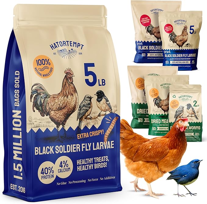 10 LB Dried Black Soldier Fly Larvae for Chickens – Non-GMO Bulk Insect Larvae