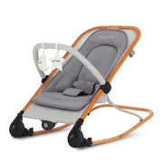 Rock With Me 2-in-1 Baby Rocker and Stationary Seat