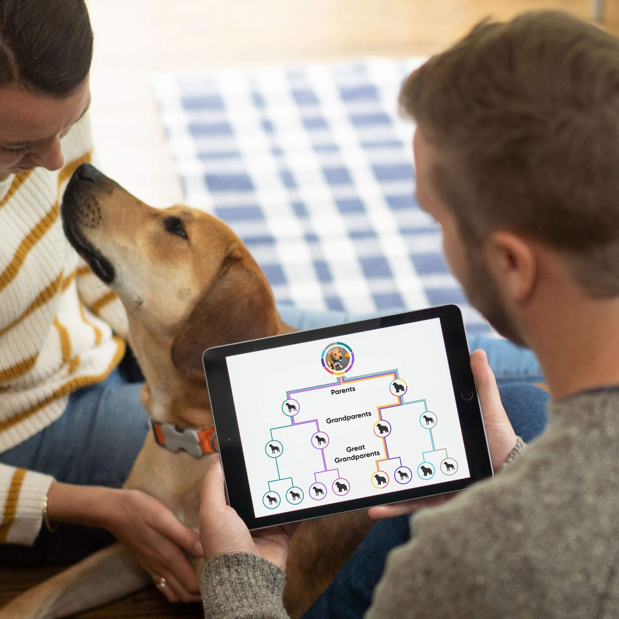 Breed Identification Kit - Most Accurate Dog DNA Testing Kit - 99% Breed Ancestry Accuracy