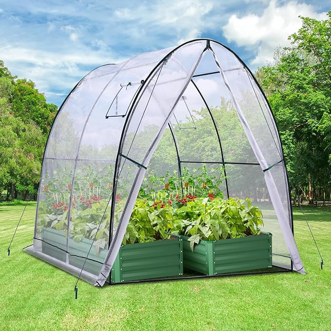 Portable Tunnel Greenhouse Outdoor: Heavy Duty Small Walk in Green House