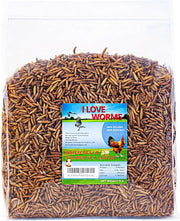 Dried Black Soldier Fly Larvae (10lb), 100% Natural Non-GMO, Treat for Chickens