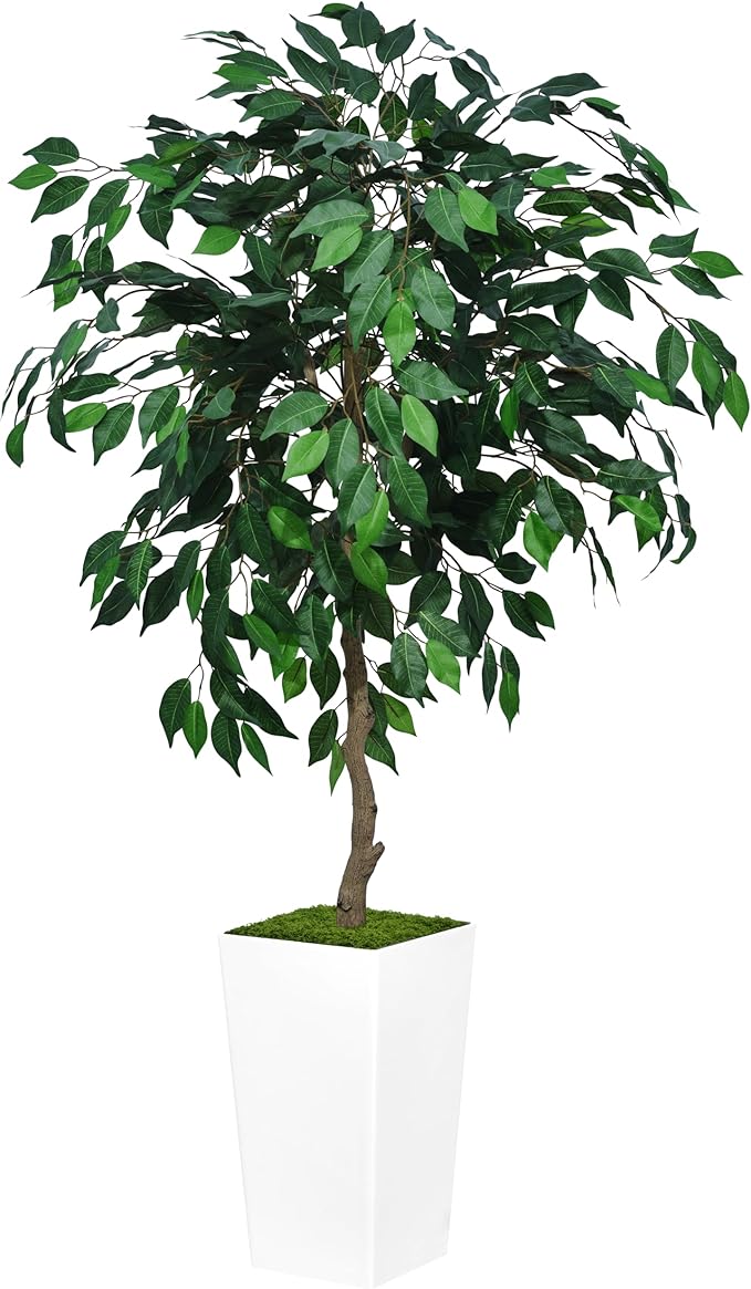 Artificial Ficus Tree 5FT - Faux Indoor Tree with Black Tall Planter - Fake Ficus Floor Plant