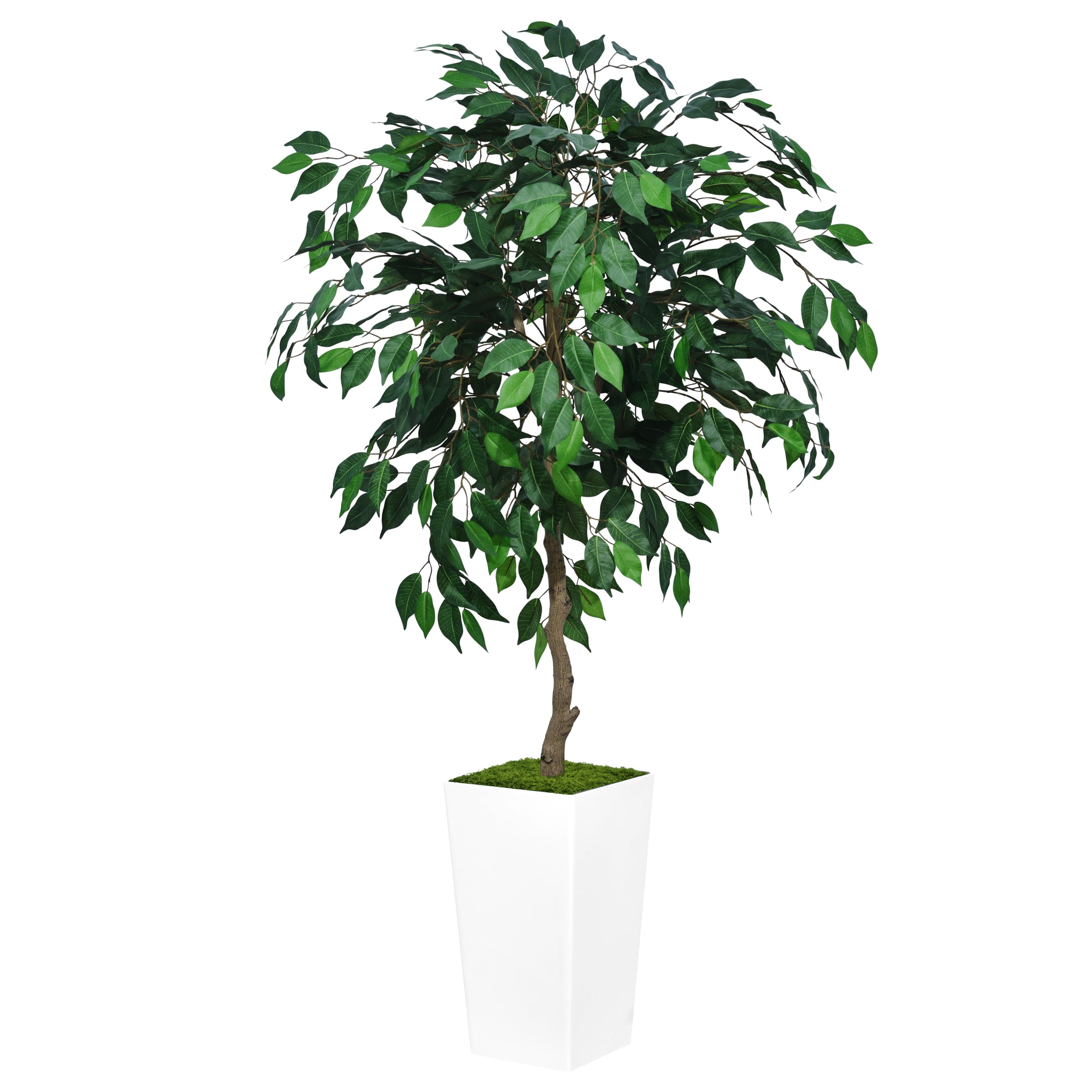 Artificial Ficus Tree 5FT - Faux Indoor Tree with White Tall Planter