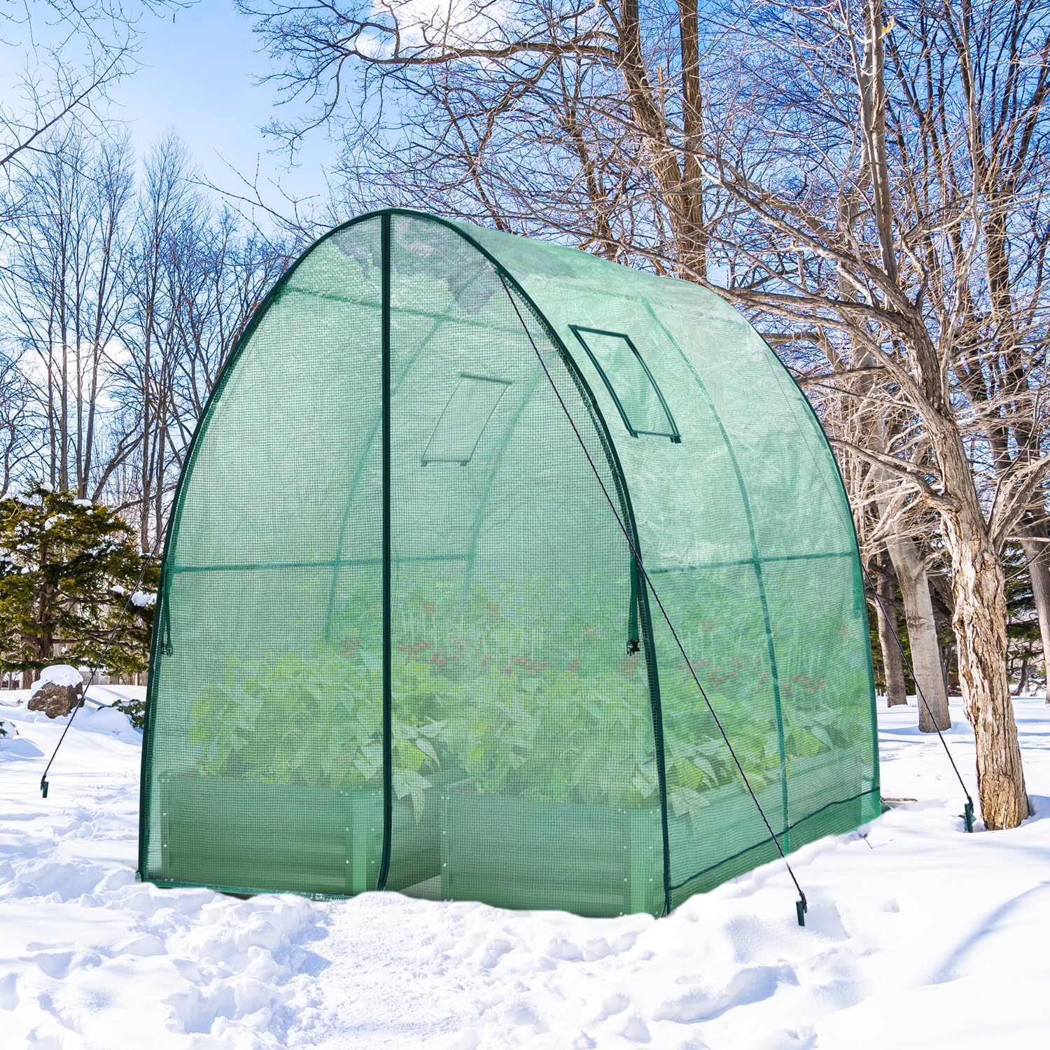 Portable Tunnel Greenhouse Outdoor: Heavy Duty Small Walk in Green House
