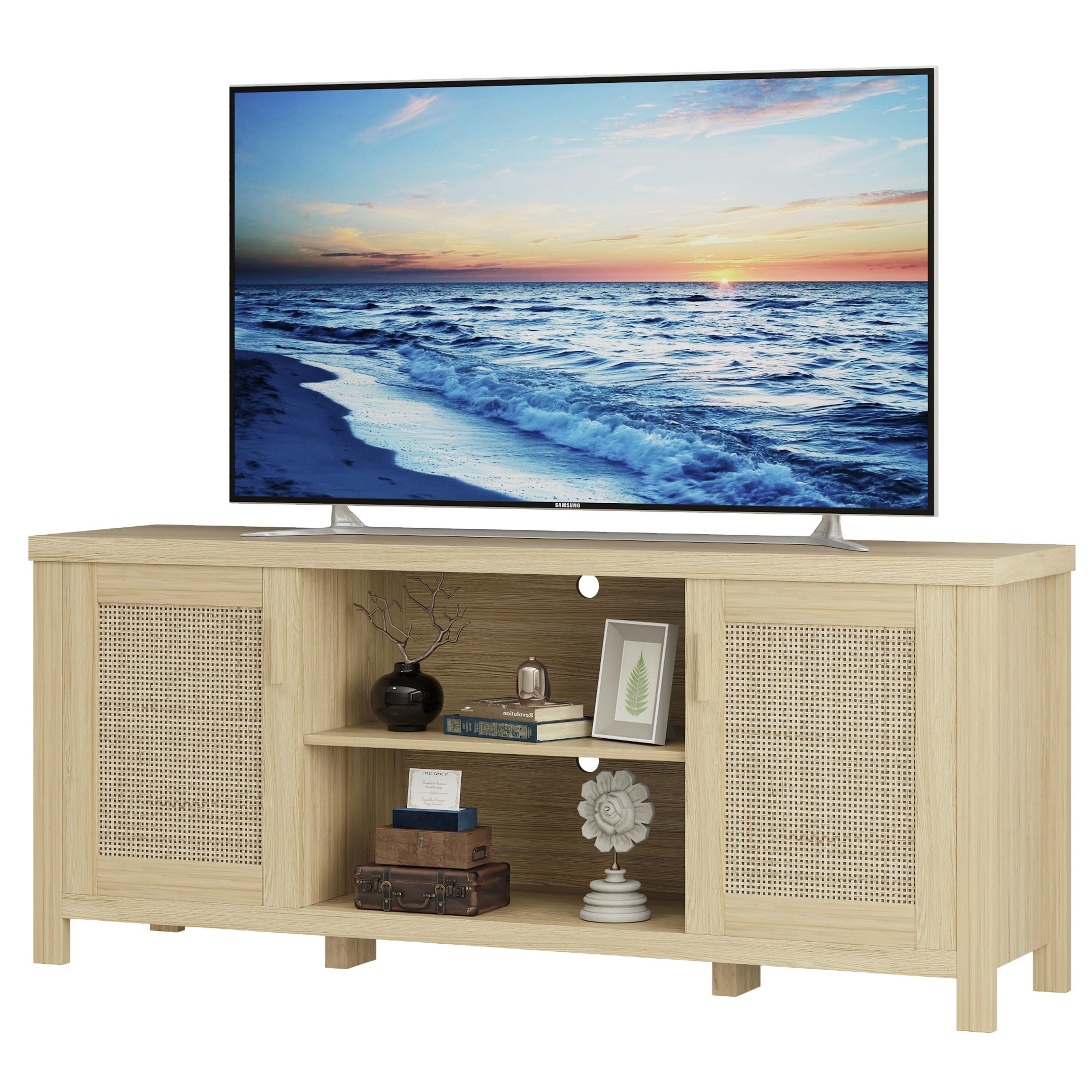 Modern Mid Century Entertainment Center with Storage