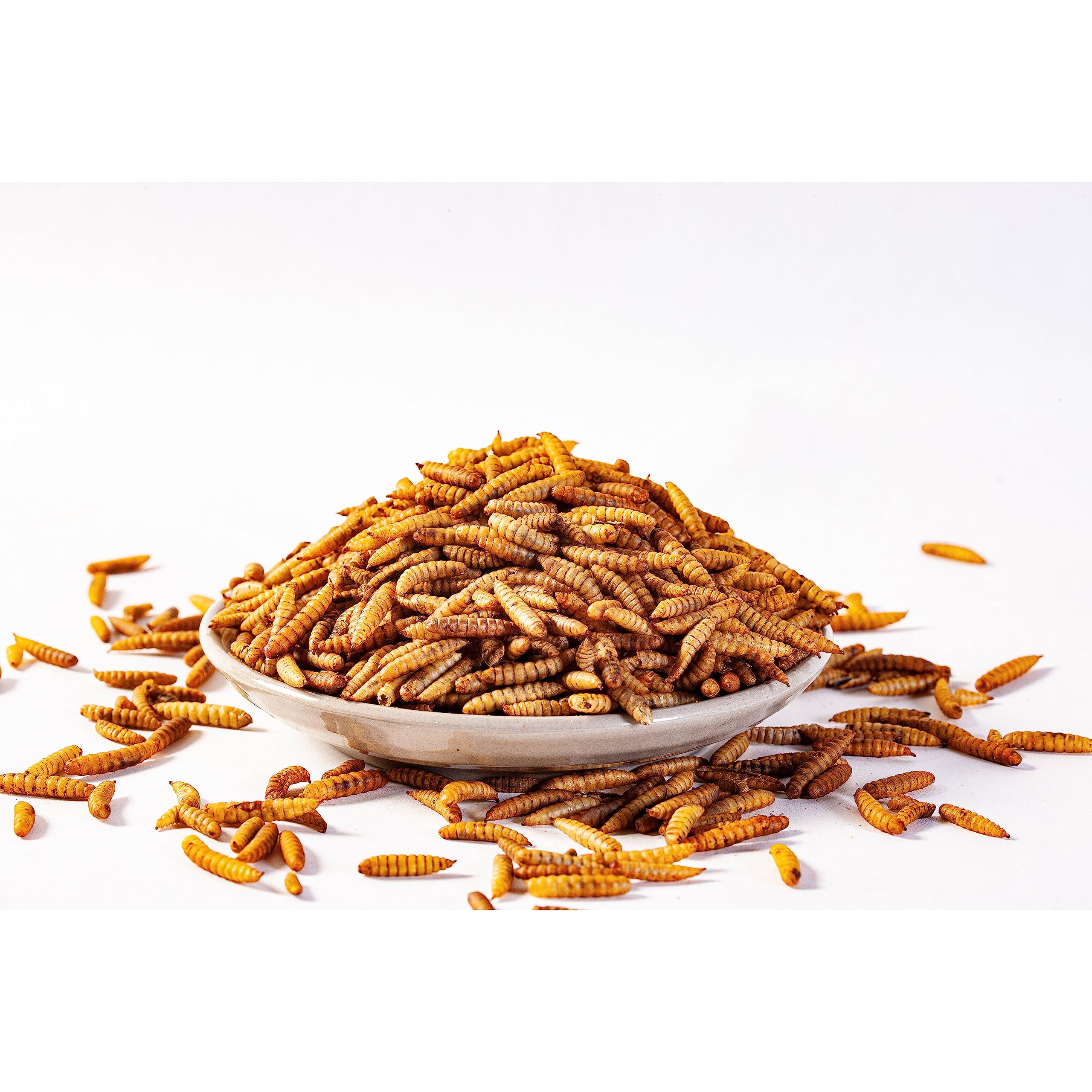 Dried Black Soldier Fly Larvae (10lb), 100% Natural Non-GMO, Treat for Chickens