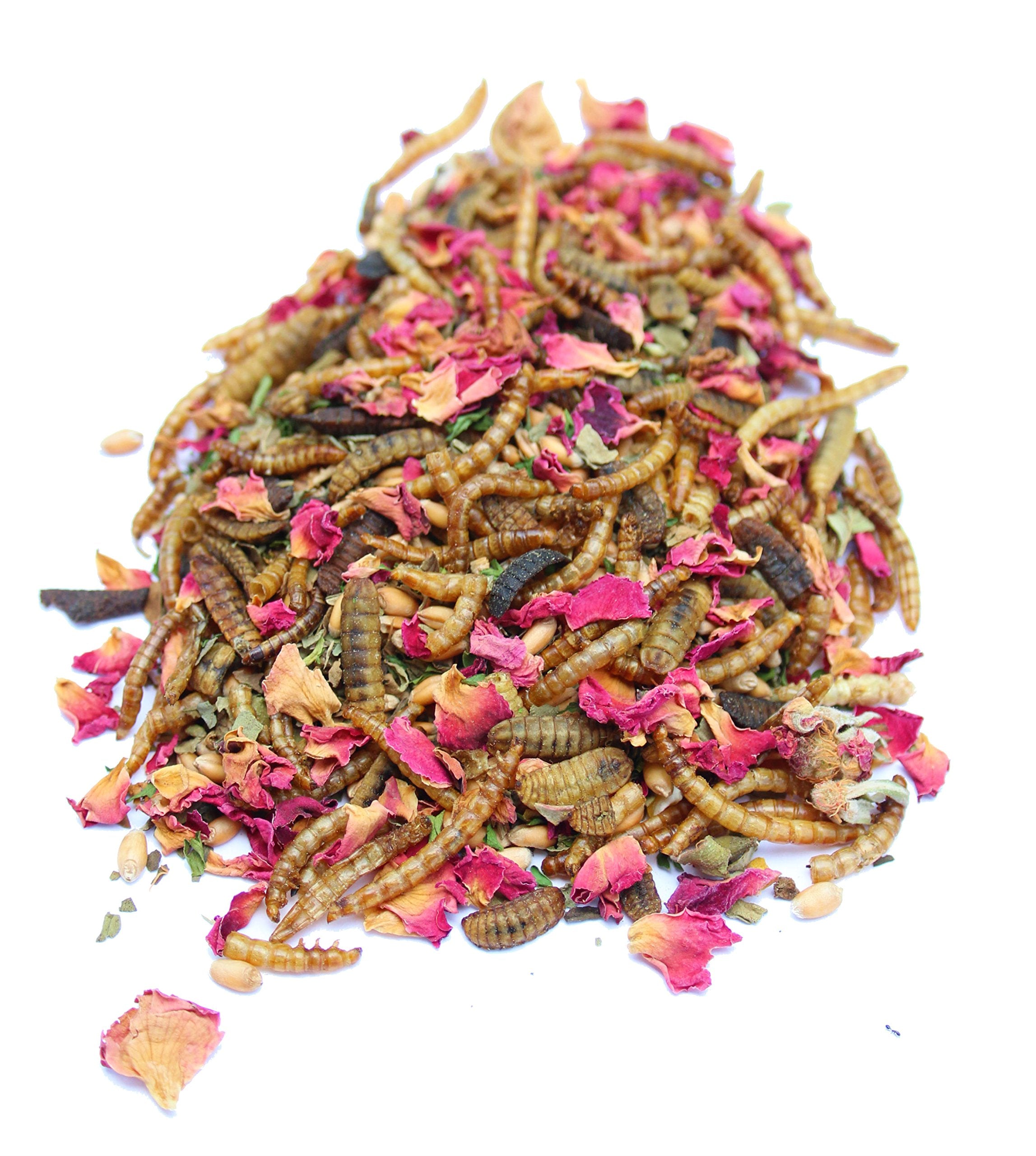 Chicken Mama Mealworm and Herb Treat for Backyard Chickens