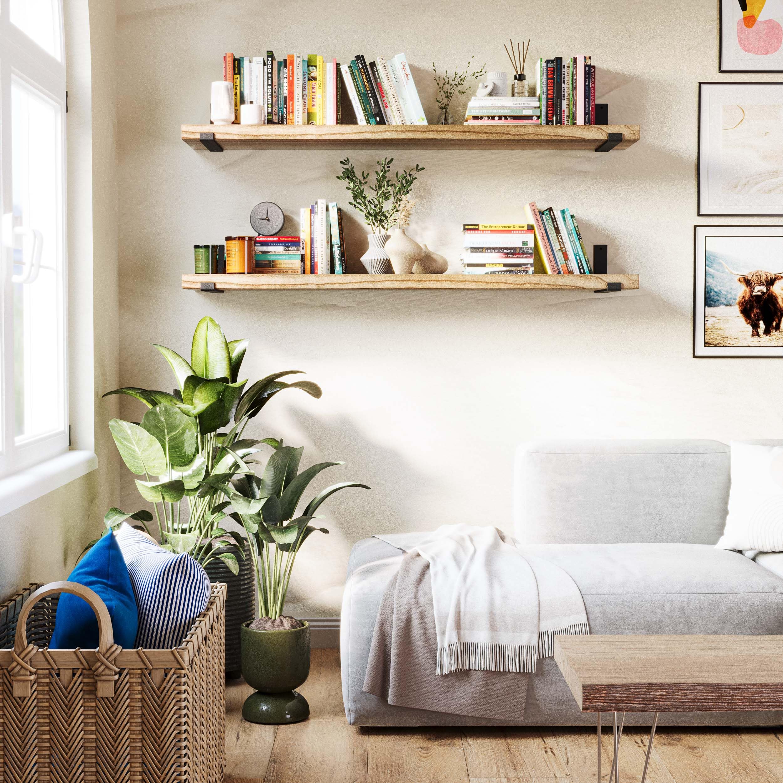 Forte 54" x 11.25" Wooden Book Shelves, Shelf for Wall Decor, Large Floating Shelves