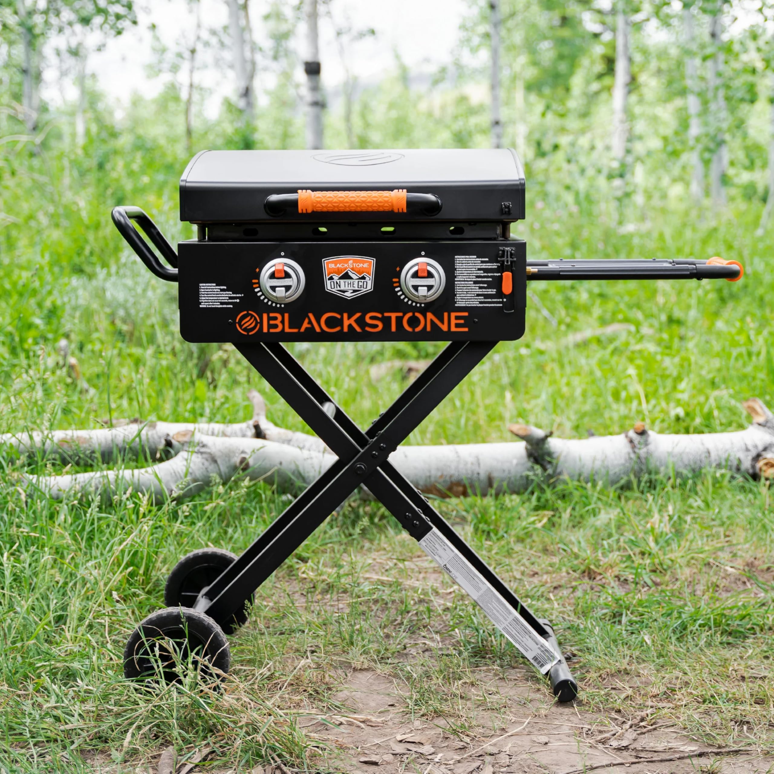 22 Inch Griddle - Portable Blackstone Omnivore Grill with Flexfold Legs