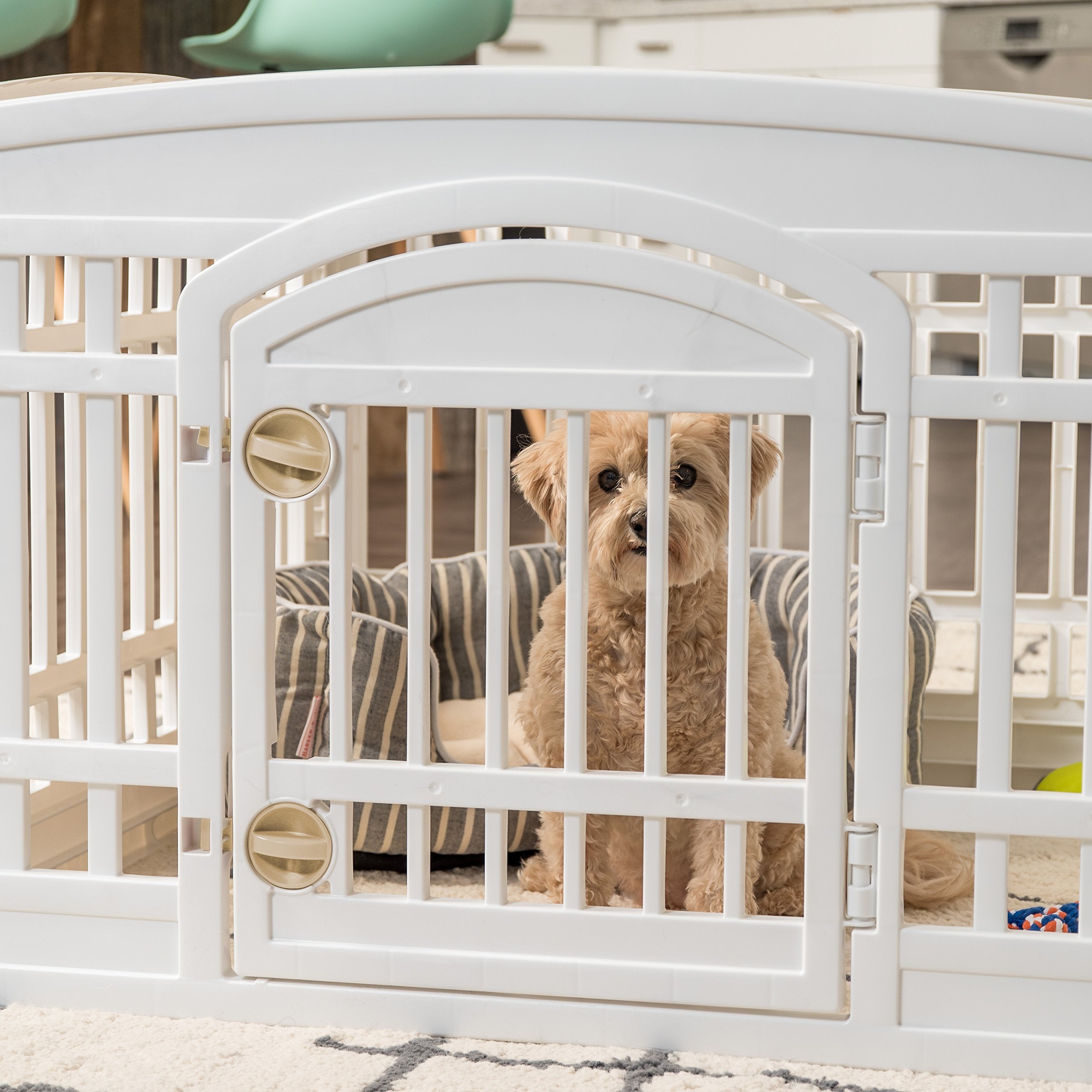 USA 24" 4-Panel Dog Playpen with Door, 35 x 35 x 24, Puppy Playpen, Dog Play Pen Indoors