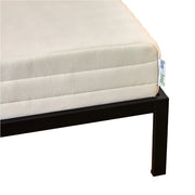 Pure Green Organic Latex Mattress - Medium Firmness - Twin XL