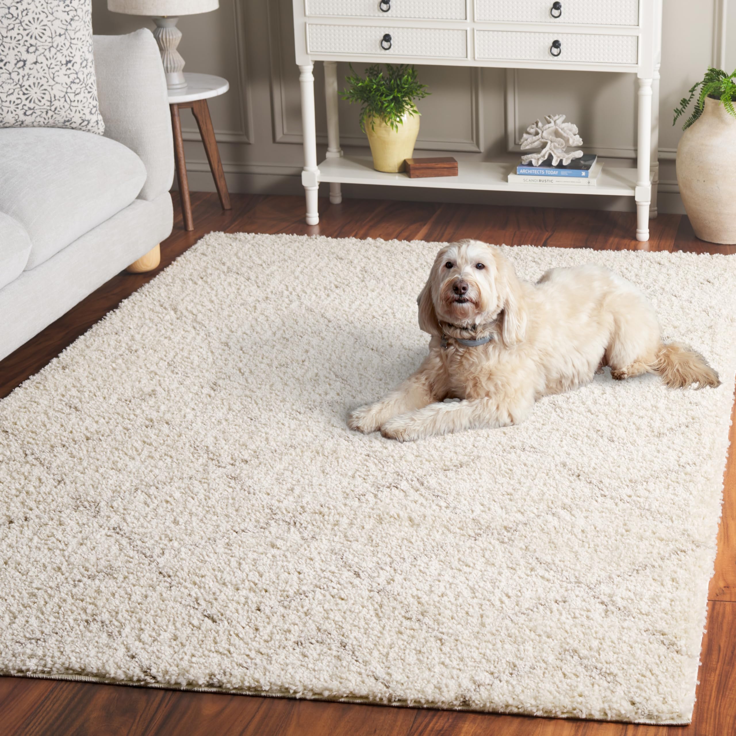 Arizona Shag Collection Area Rug - 6' x 8', Ivory & Beige, Moroccan Design